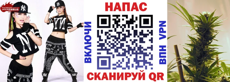 как найти закладки  Бор  МАРИХУАНА сатива 